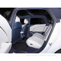 Zeekr 007 Hot Popular nga Luxury Electric Car Fo-Wheel Drive New Energy Vehicle